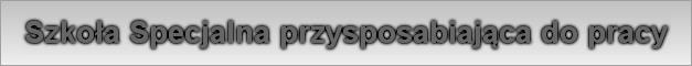 Szkoła Specjalna przysposabiająca do pracy